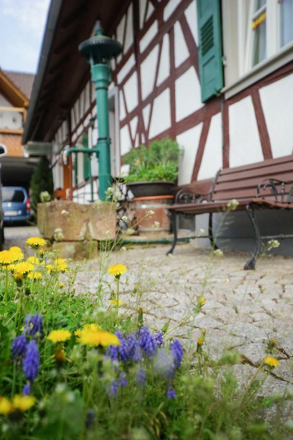 Apartment Kirschbluete Appenweier Buitenkant foto